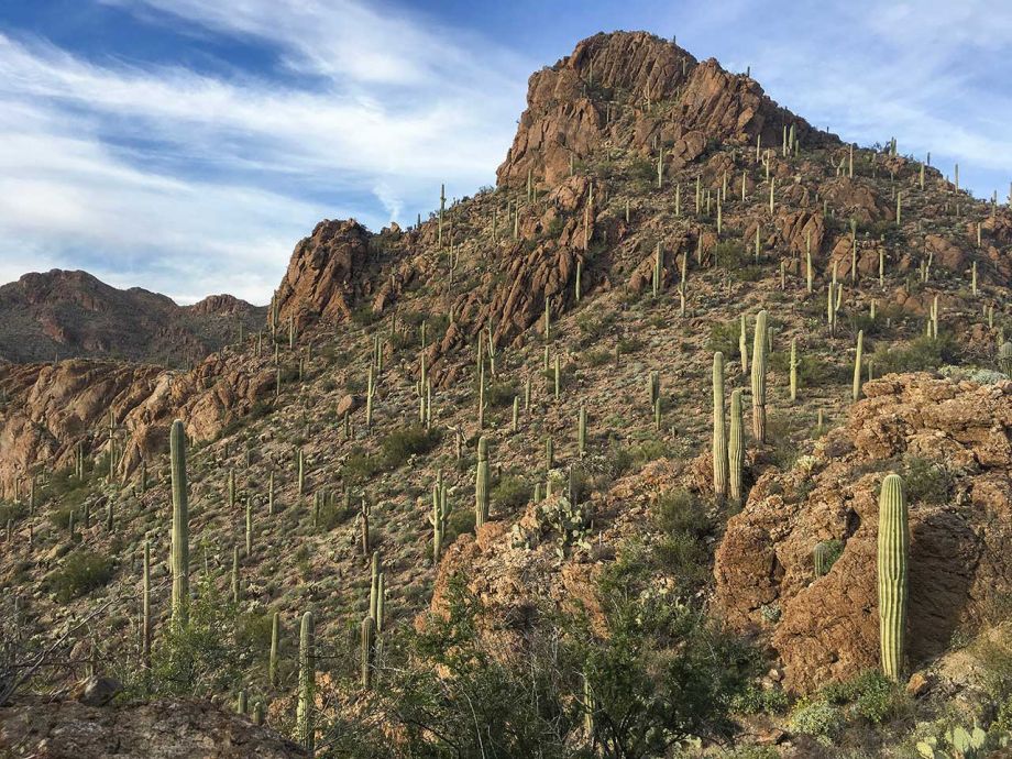 Tucson background